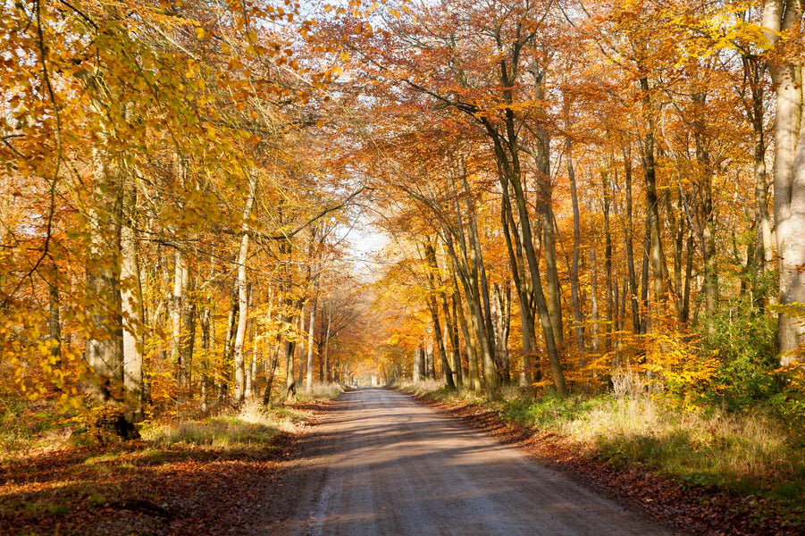 Best walks in Wiltshire