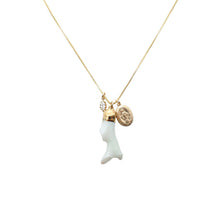 Load image into Gallery viewer, Coral Charm Necklace